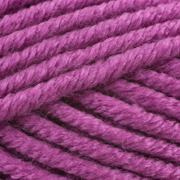 Plum (429)