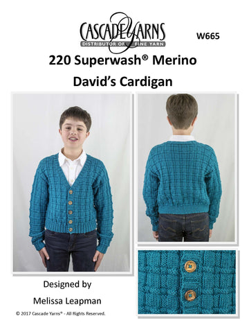David’s Cardigan in Cascade Yarns 220 Superwash® Merino - W665 - Free PDF