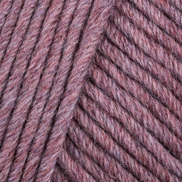 Limited Edition Raisin (400)