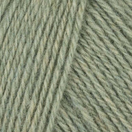 Salbei / Sage (64)