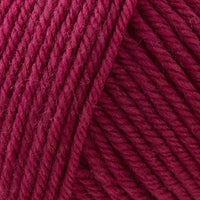 Raspberry (35)