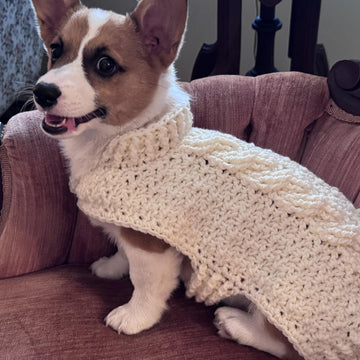 Cable Crochet Dog Sweater