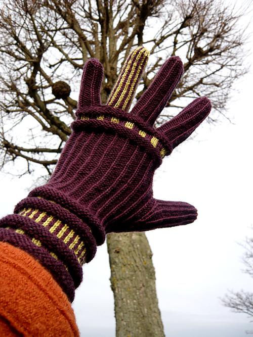 Callisto glove & fingerless mitt