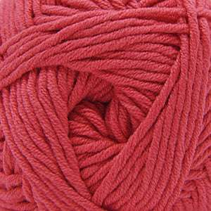 Coral rose (227)