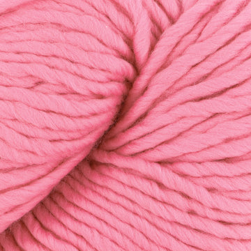 Flamingo (1309)