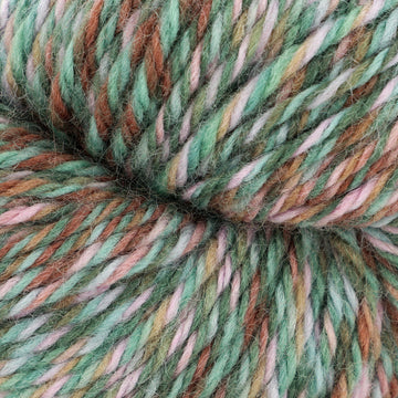 Eastern Rainbowfish (45)