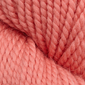 Cherry Blossom (3512)