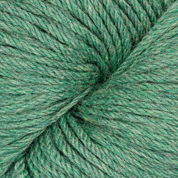 Jalapeno (61196)