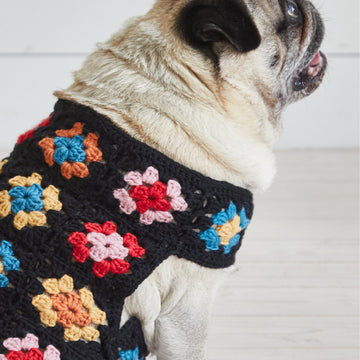 Debbie Bliss Crochet Dog Coat Set Pattern