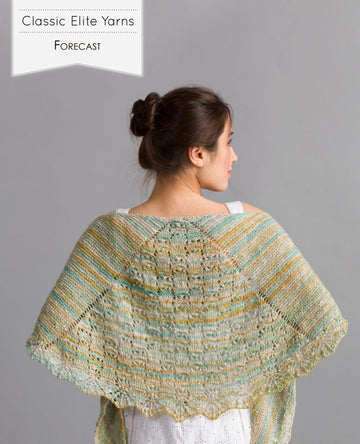 Classic Elite Yarns 1506 Forecast