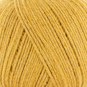 Golden Ochre (200830)