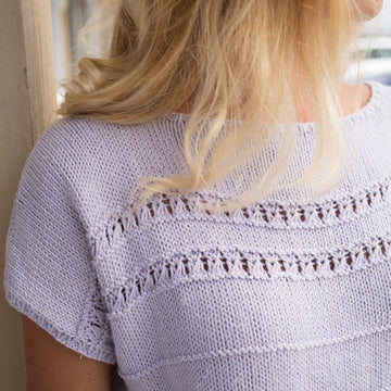 Berroco 385 Pima 100