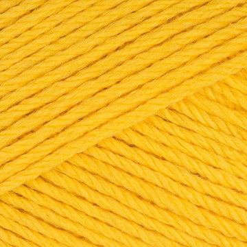 Buttercup Yellow (822)