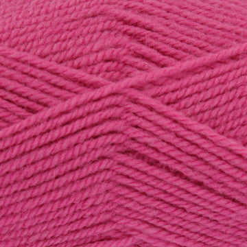 Fuchsia (Dupl4034)