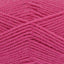 Fuchsia (Dupl4034)