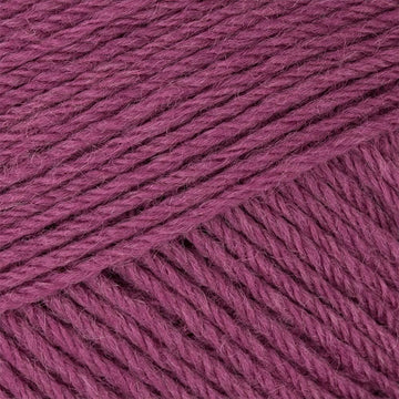 Plum (3126)