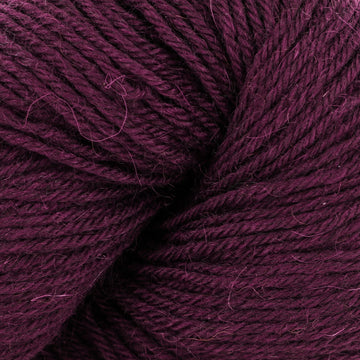 Hollyberry (230)