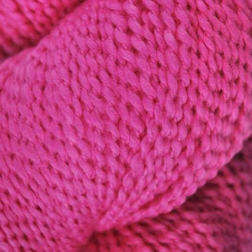 Dragonfruit (9)