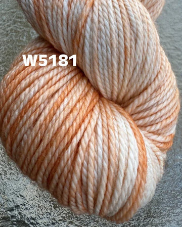 W5181