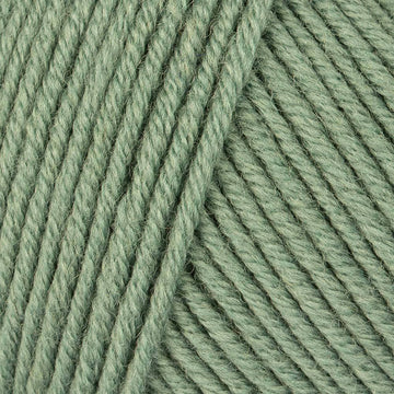 Dark Grey/Green (2021)