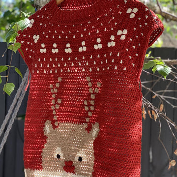 The Rudolph Jumper