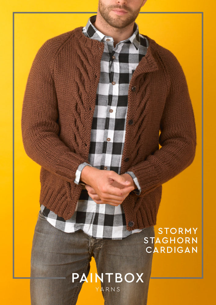 Paintbox Yarns Stormy Staghorn Cardigan Knitting Pattern
