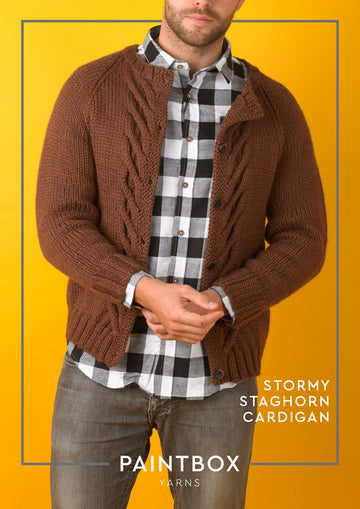 Paintbox Yarns Stormy Staghorn Cardigan Knitting Pattern