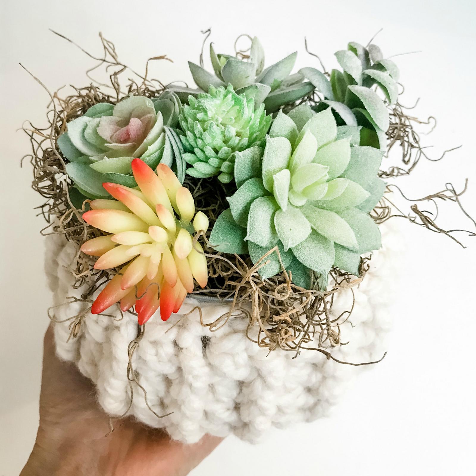Succulent Pumpkin Cozy
