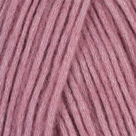 Rose (5022)