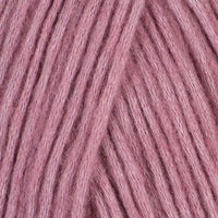 Rose (5022)