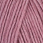 Rose (5022)