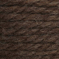 Bachelor Button (6062)