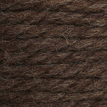 Bachelor Button (6062)