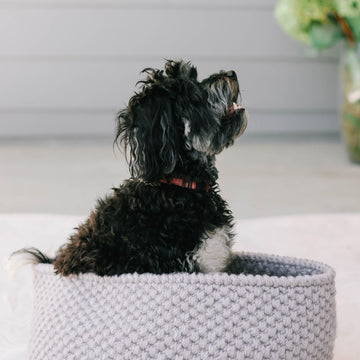 Harbor Pet Bed