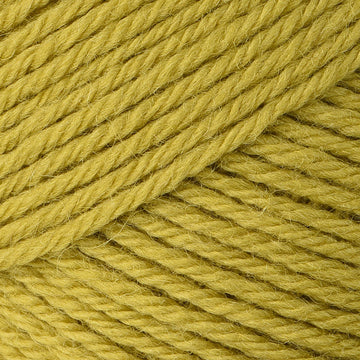 Cactus (49)