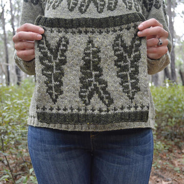 Alocasia Cowl