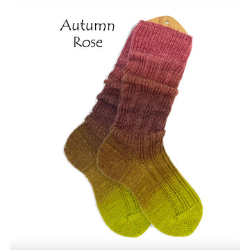 Autumn Rose