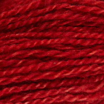 Ruby Slippers (011)