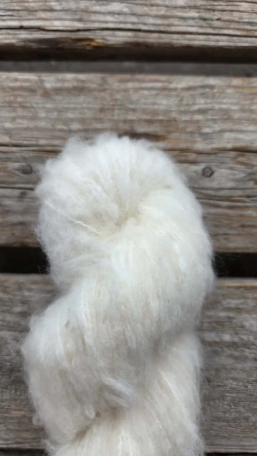 Koigu Andra Yarn - Merino Wool DK