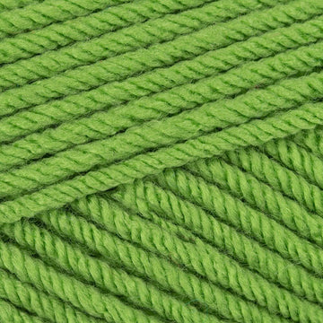 Fern (70638)