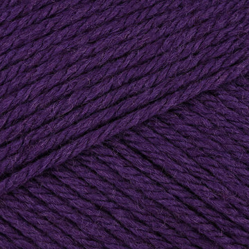 Rich Mauve (844)