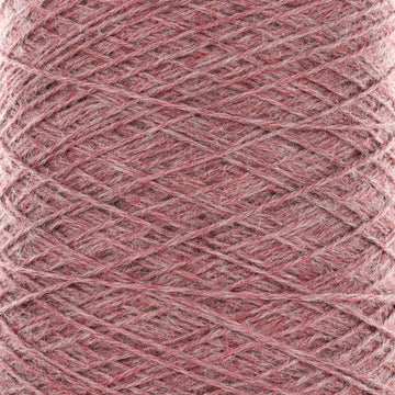 Faded Rose