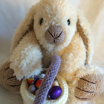 Loppy the Baby Lop Eared Bunny