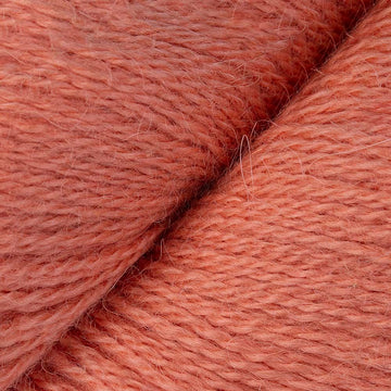 Coral (17)