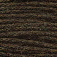 Forest Floor (51173)