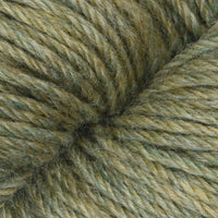 Lichen (10)