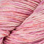 Carnation (205)