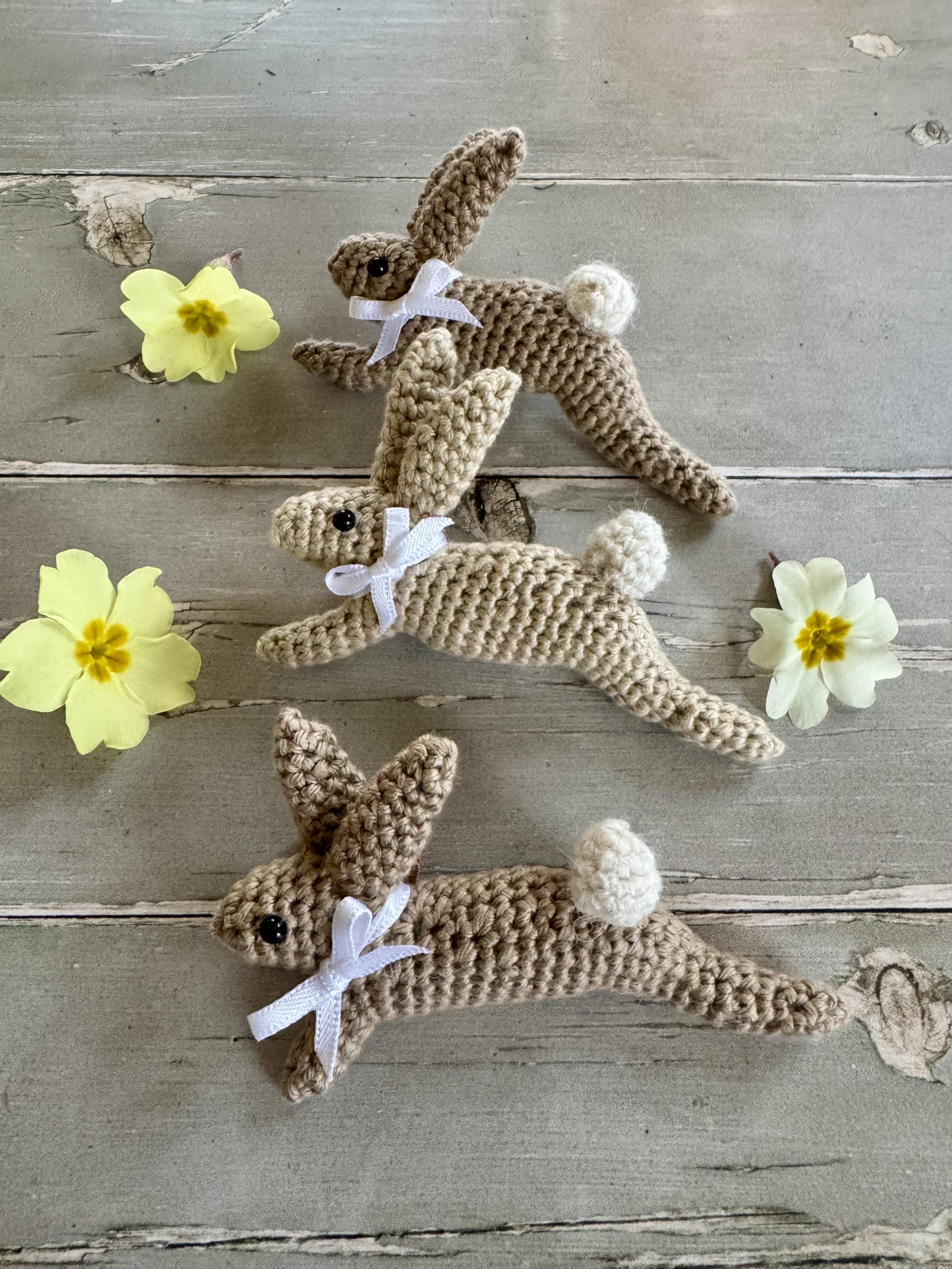 Leaping Spring Hare