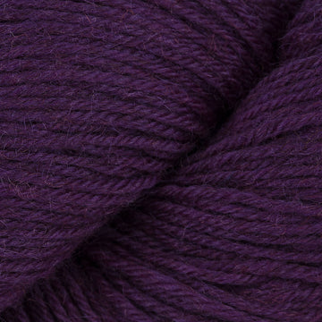 Purple Moor Grass (CUF057)