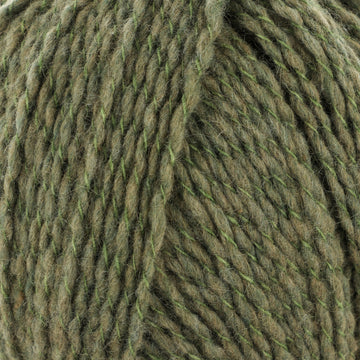 Lichen (517108)